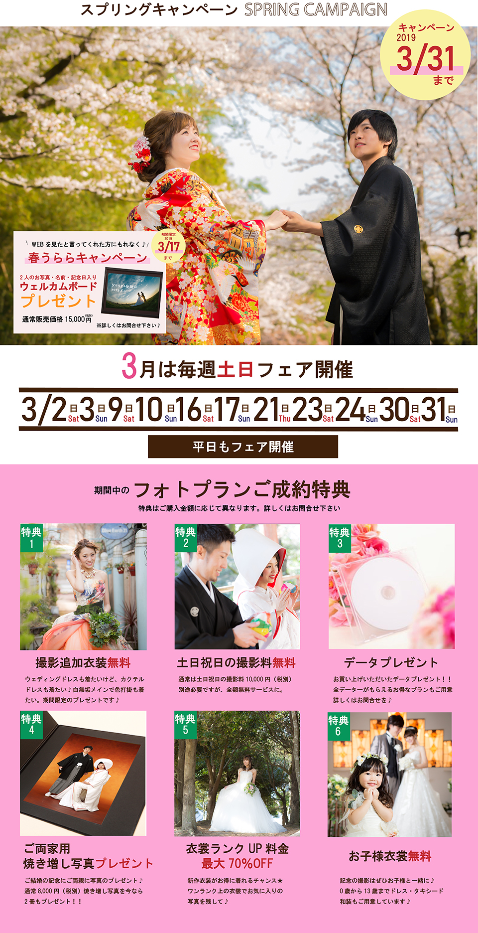 3月は毎週末フェア開催!