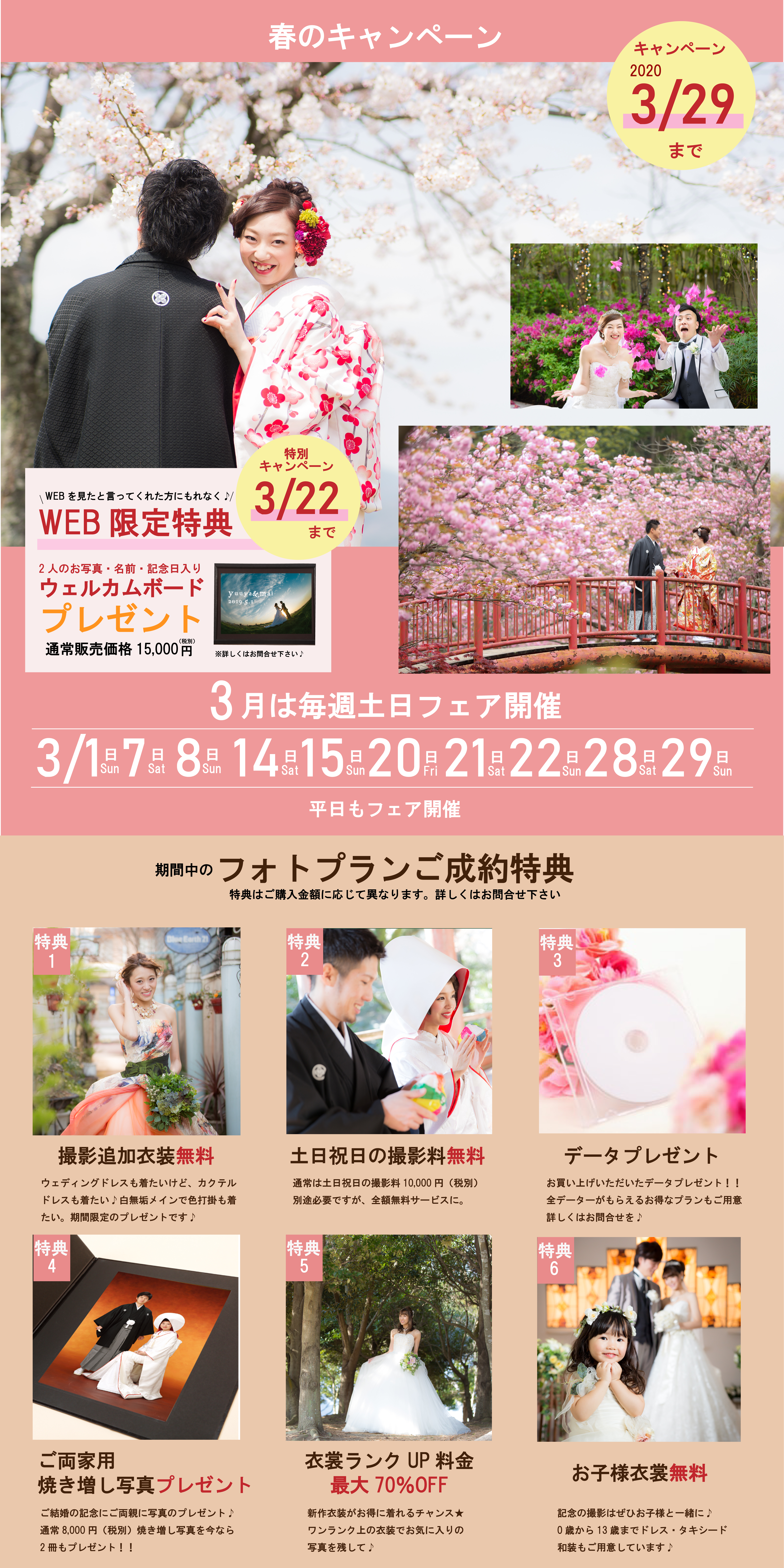 3月は毎週末フェア開催!