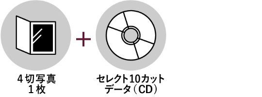 プチアルバムプラン