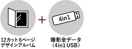 アルバム&全データプラン