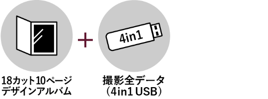 アルバム&全データプラン